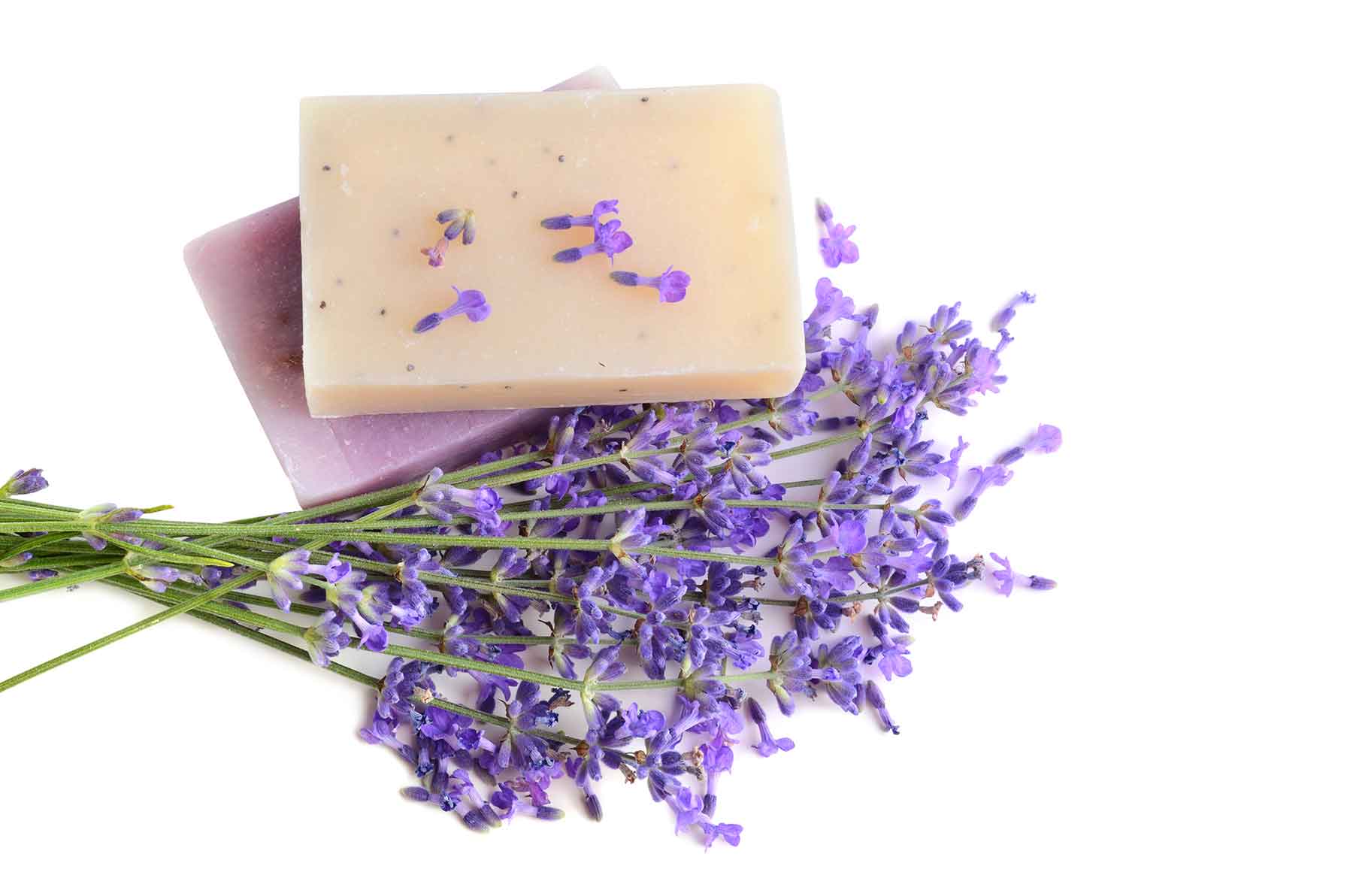 Lavender Soap